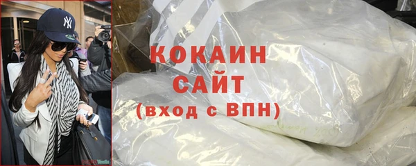 стаф Каменногорск
