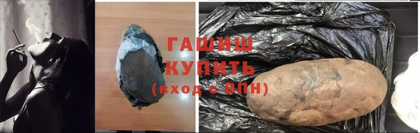 стаф Каменногорск