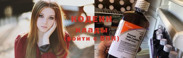 стаф Каменногорск