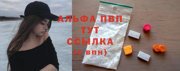 стаф Каменногорск