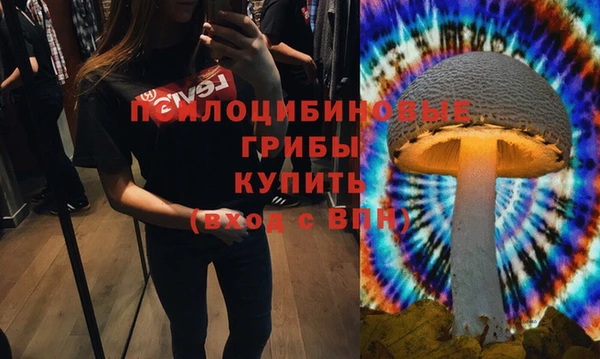 стаф Каменногорск
