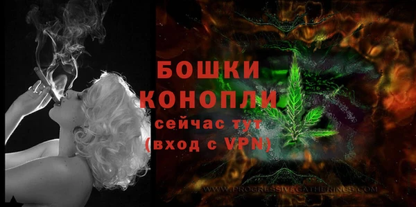 прущий лед Касимов
