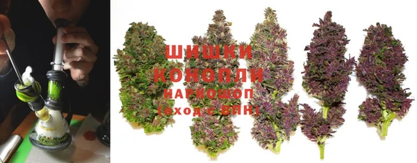 стаф Каменногорск