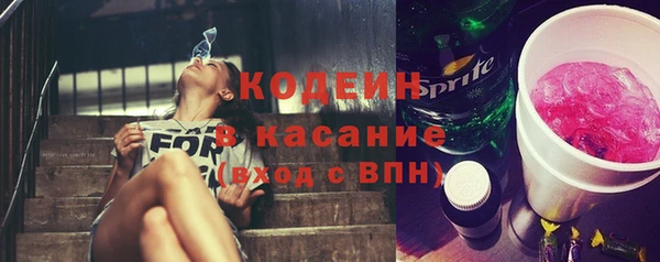 стаф Каменногорск