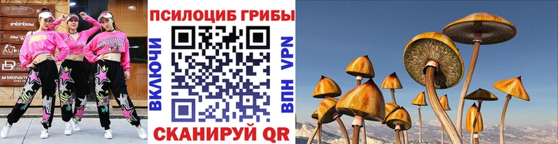 купить наркотик  Волгоград  Псилоцибиновые грибы MAGIC MUSHROOMS 